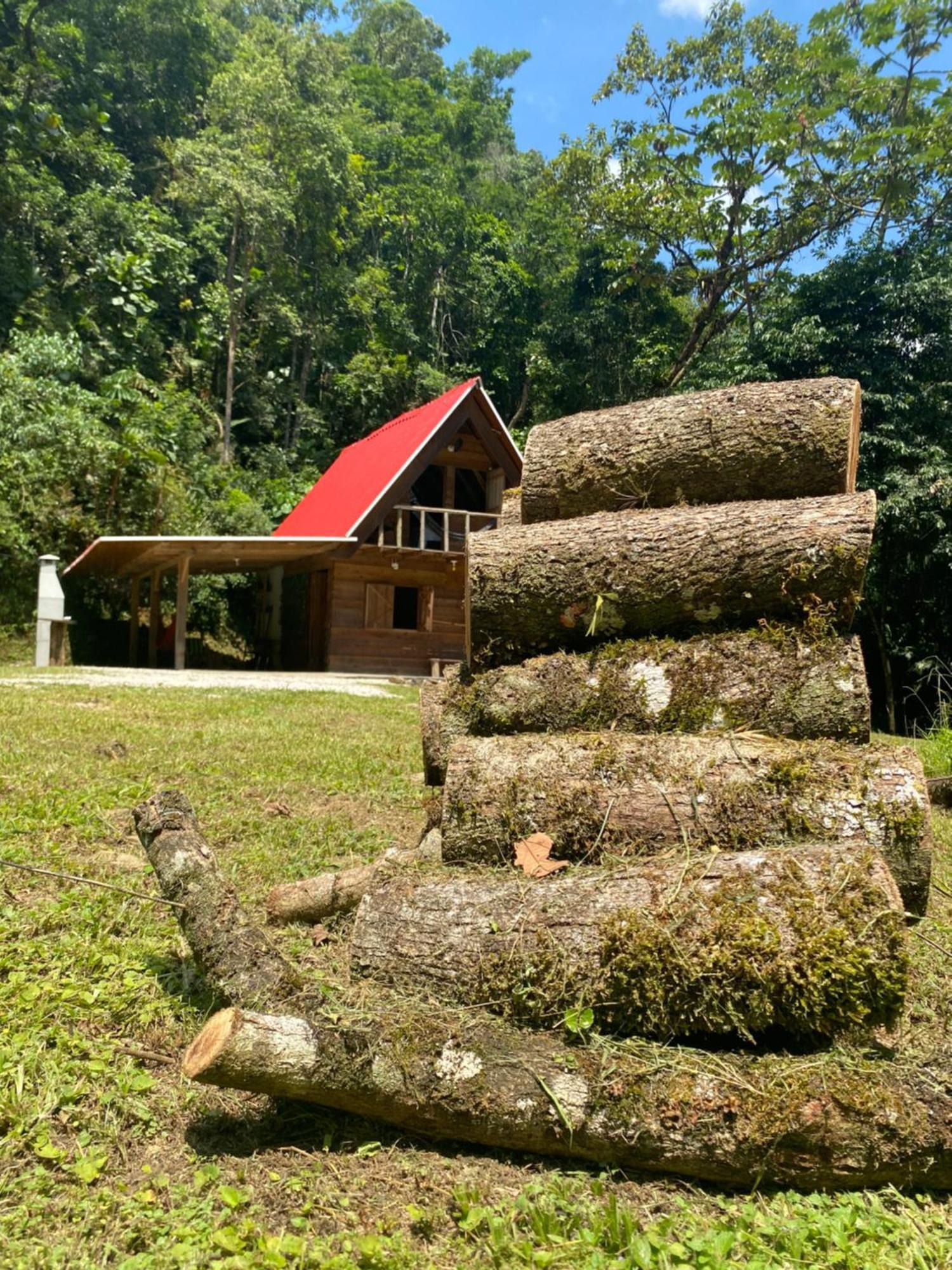 Chale Em Meio A Natureza! Guabiruba Exterior photo