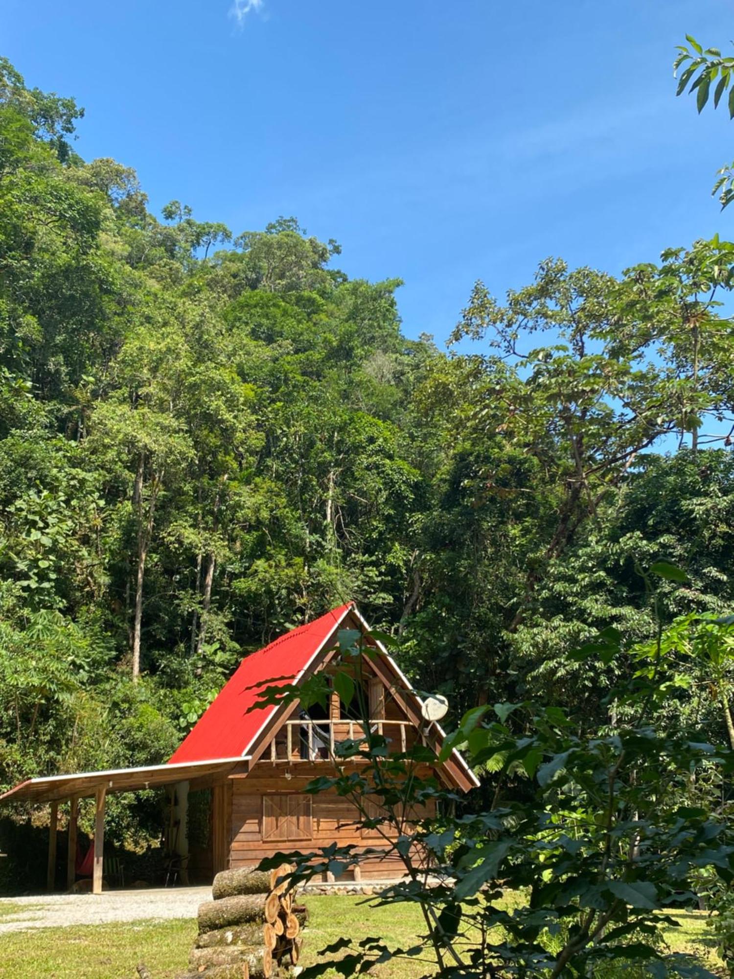 Chale Em Meio A Natureza! Guabiruba Exterior photo
